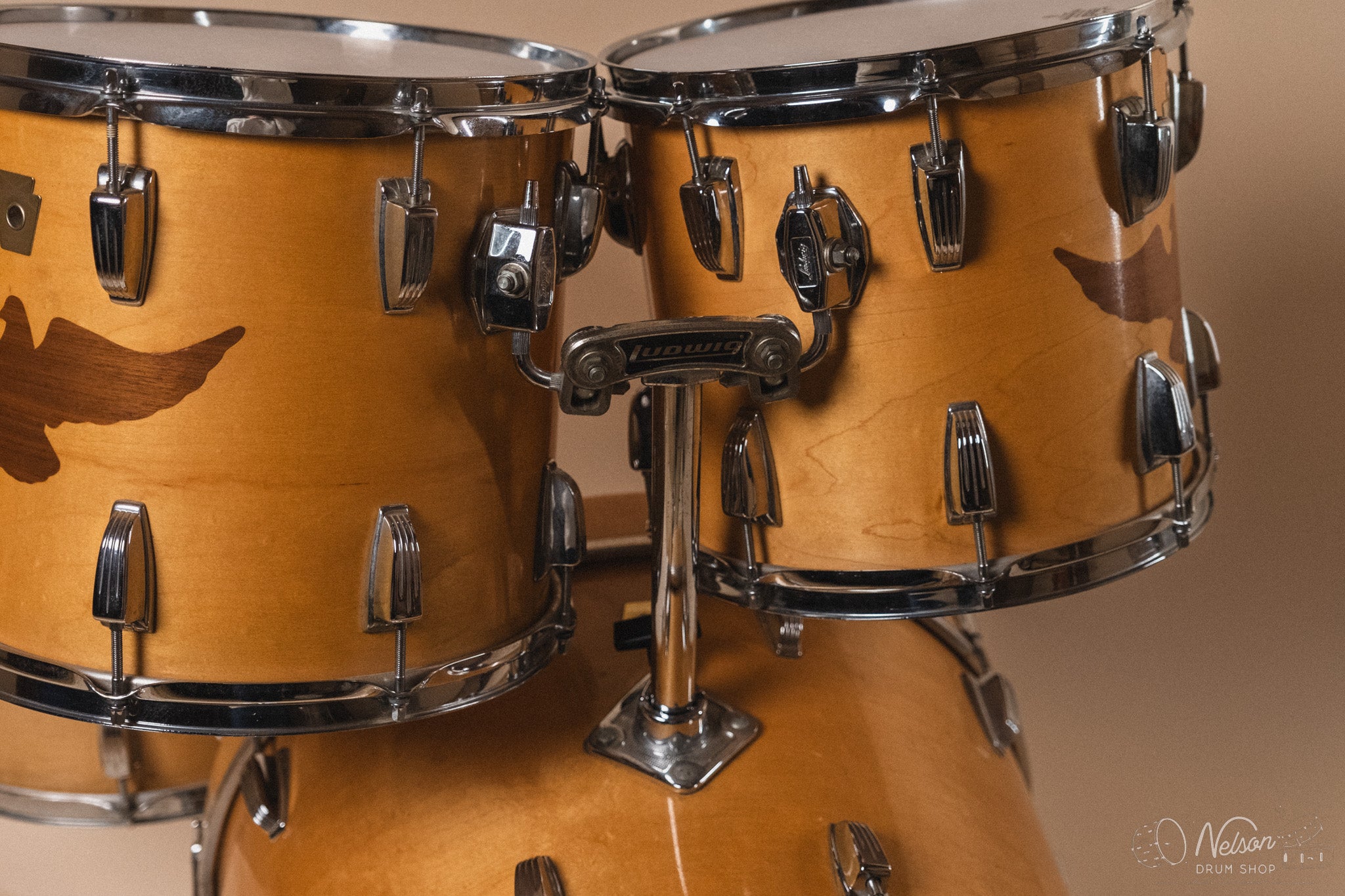 1984 Ludwig 75th Anniversary Maple w/ Walnut Eagle Inlay - 14x22