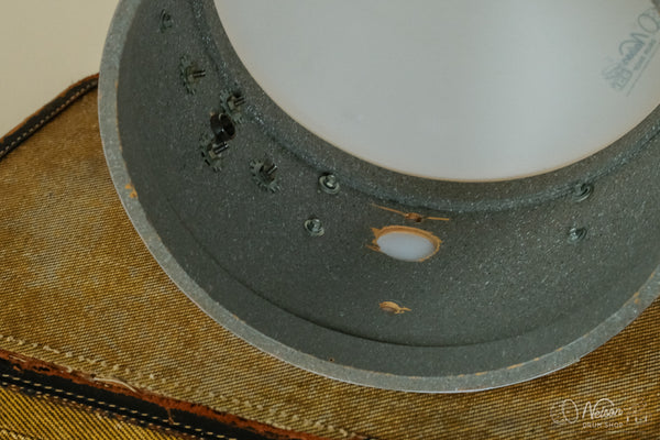 1970s Rogers Fullerton Concert Tom Rewrapped in Champagne Sparkle - 8x12